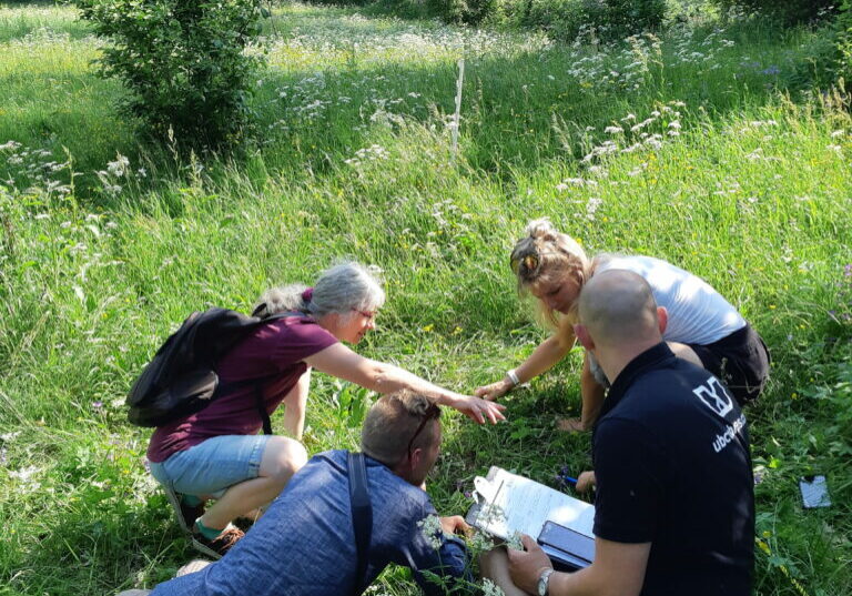 Personer på grönskande äng som pekar på och analyserar markens arter.